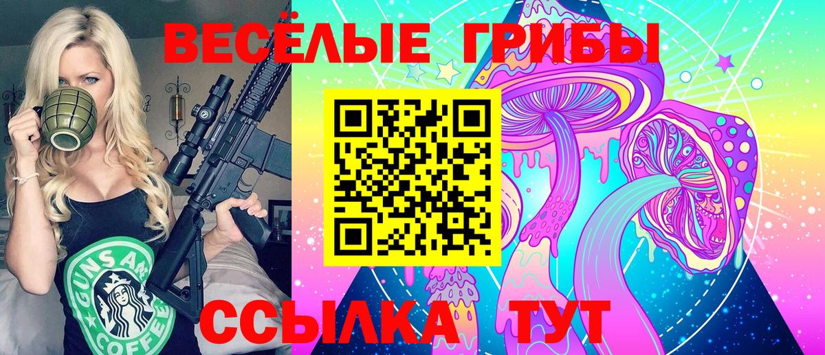 Гурьевск  Псилоцибиновые грибы прущие грибы  что такое   Вход с VPN  Псилоцибиновые грибы GOLDEN TEACHER 